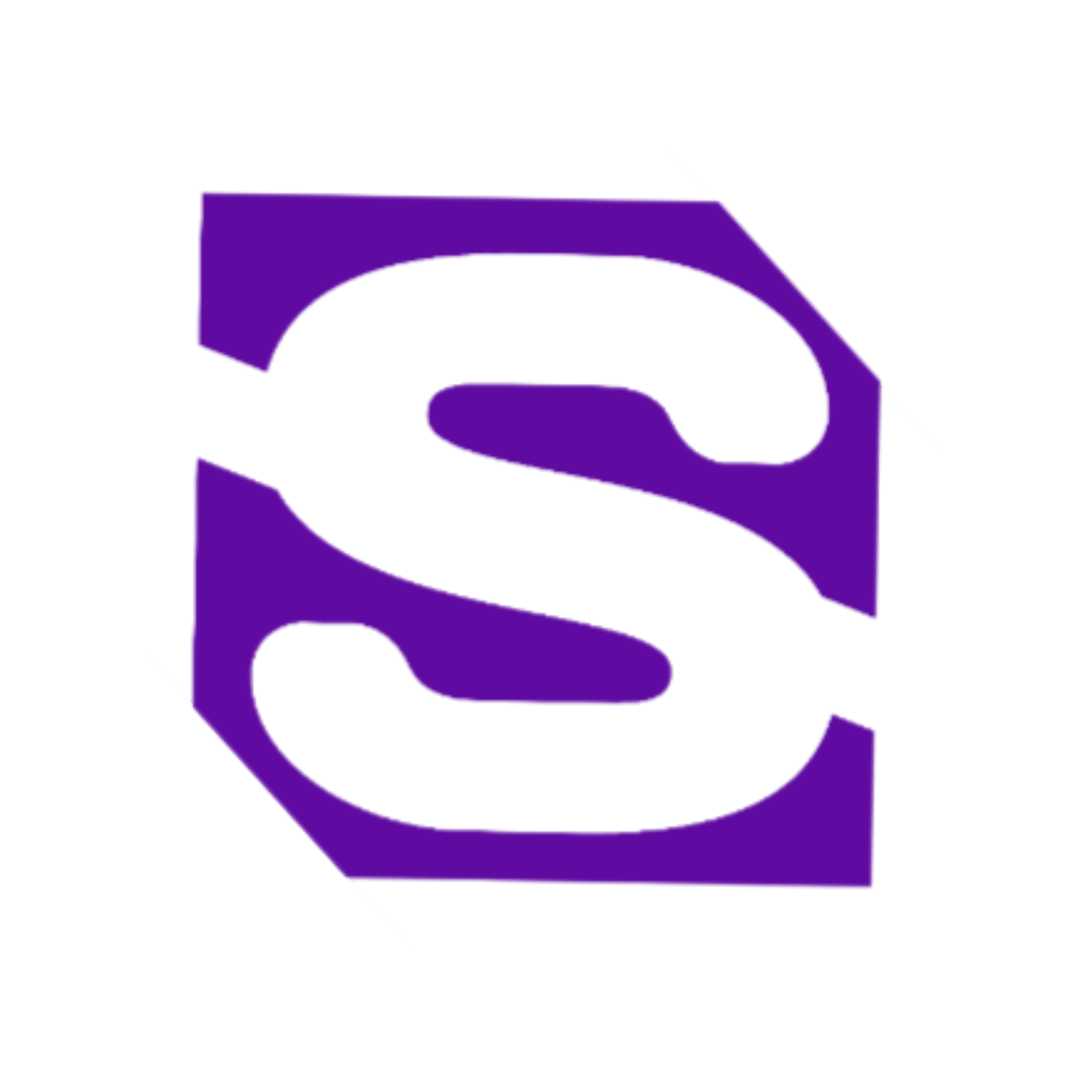 The Space Logo